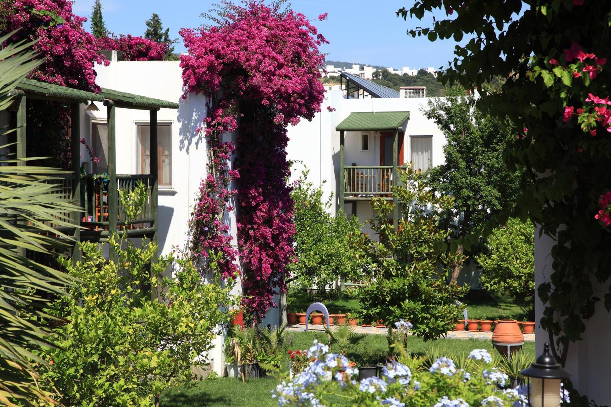 גומבט Parkim Ayaz Hotel מראה חיצוני תמונה